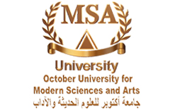 MSA University